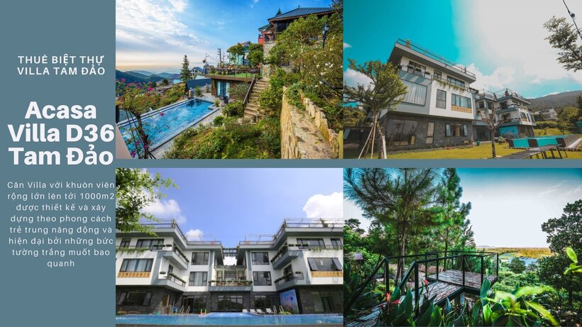 Top 21 Biệt thư Villa Tam Đảo Vĩnh Phúc giá rẻ đẹp có hồ bơi cho thuê